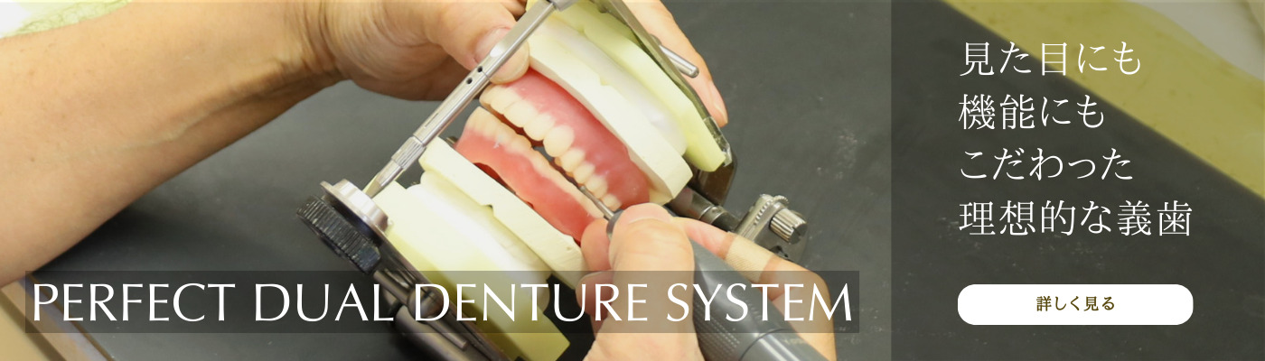 Perfect Dual Denture System